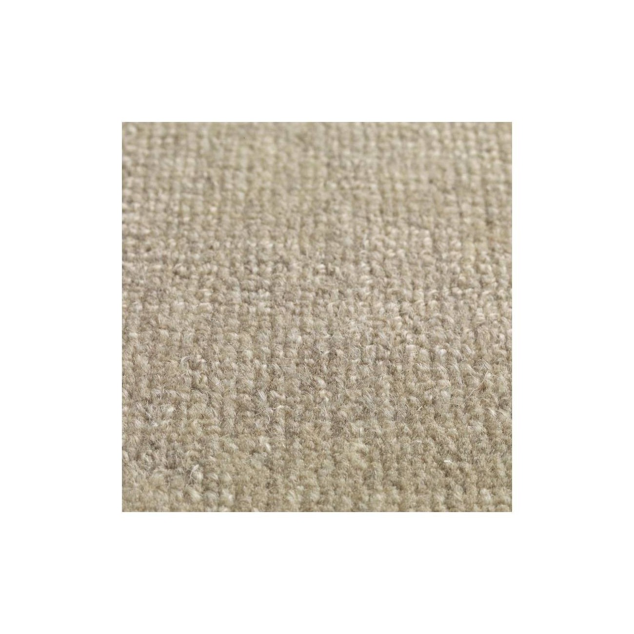 JACARANDA CHENNAI TAPPETI