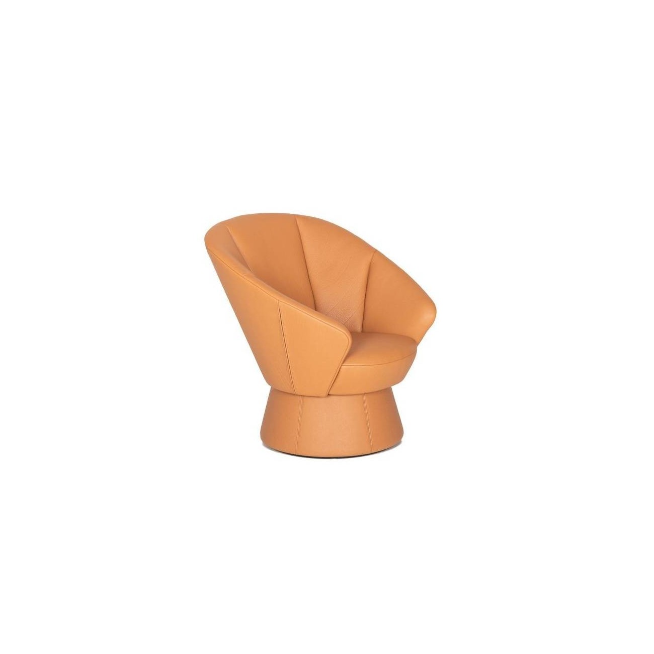 DE SEDE DS-163 POLTRONA