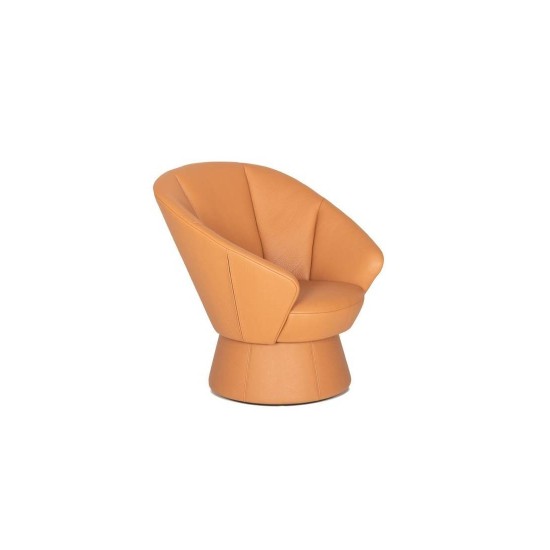 DE SEDE DS-163 POLTRONA