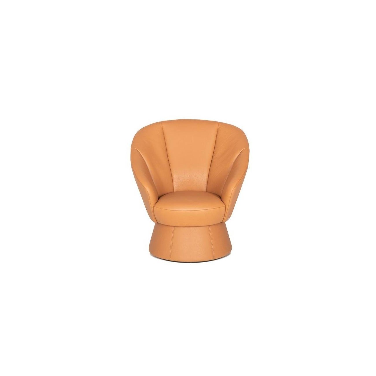 DE SEDE DS-163 POLTRONA