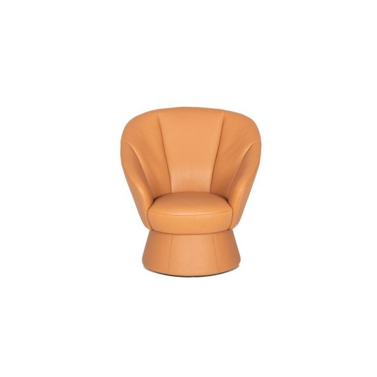 DE SEDE DS-163 POLTRONA