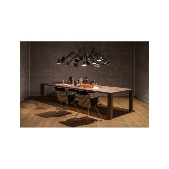 DE SEDE DS-515 SEDIA