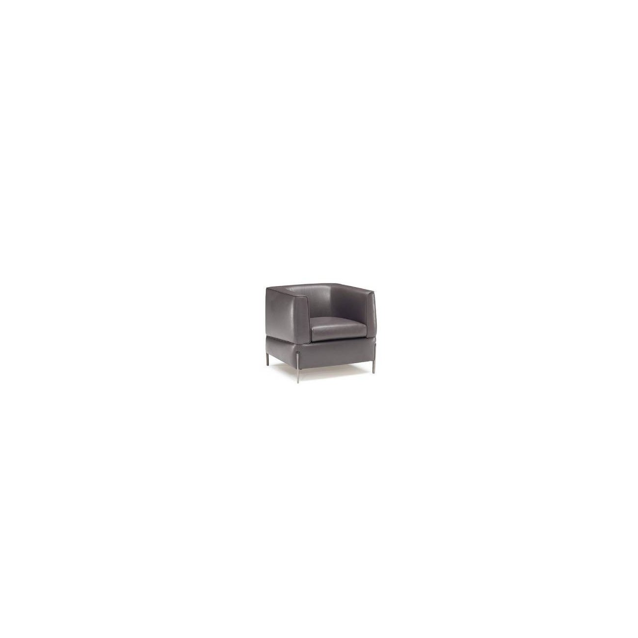 NATUZZI ANTEPRIMA POLTRONA