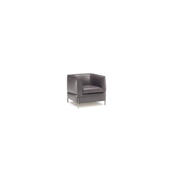 NATUZZI ANTEPRIMA POLTRONA