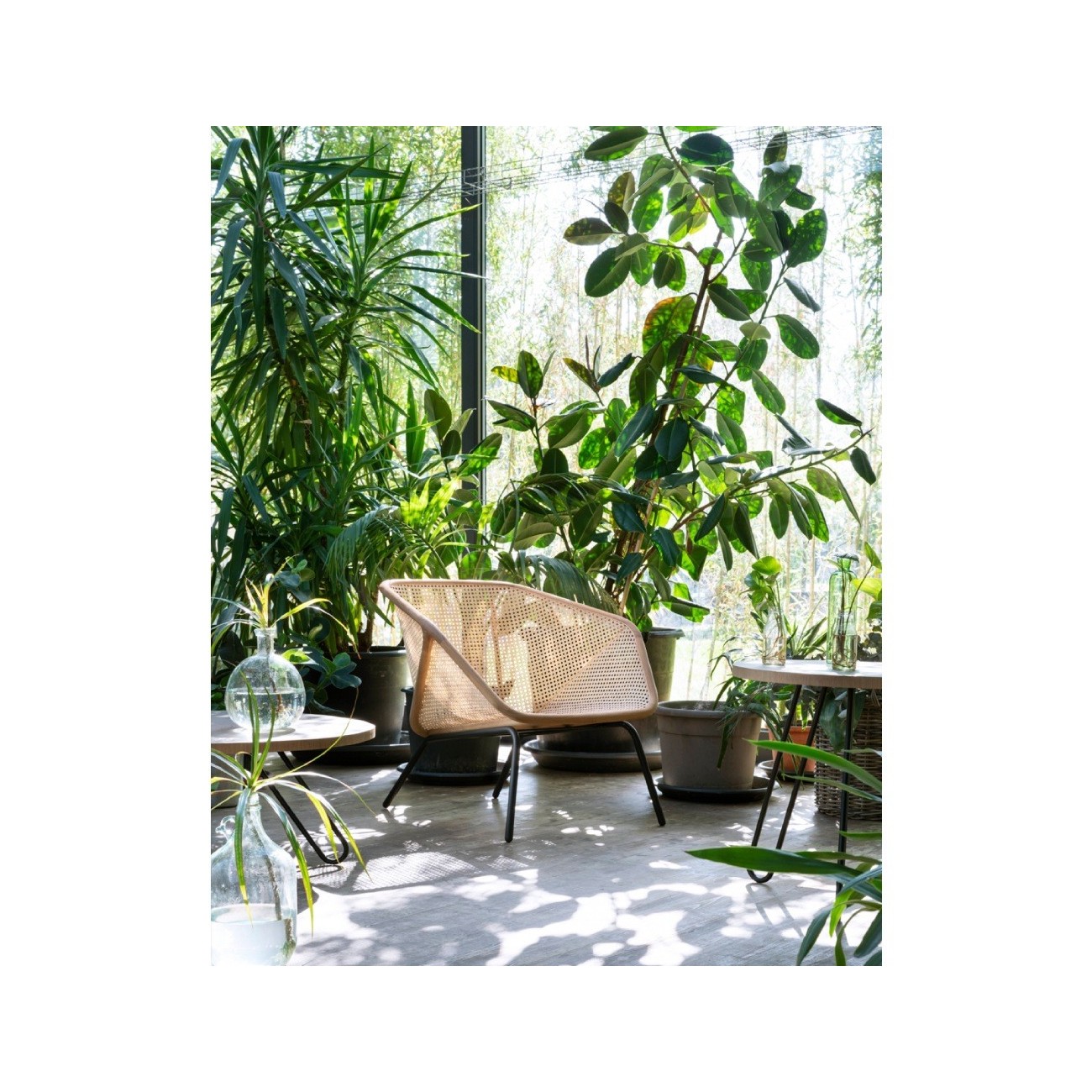 MINIFORMS – COLONY POLTRONA