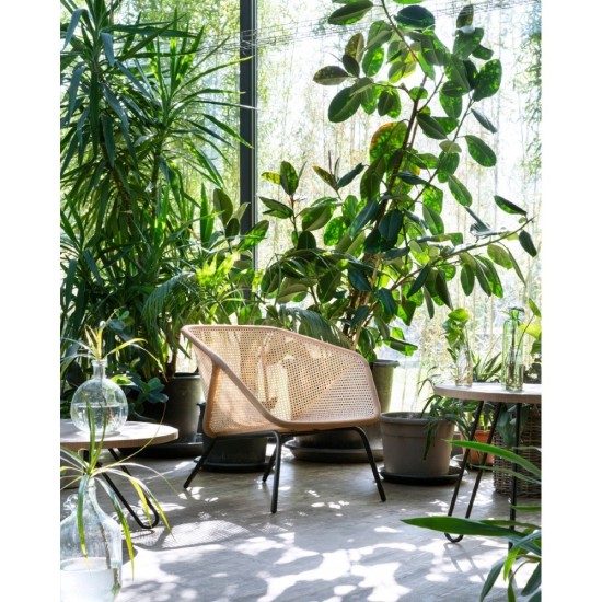 MINIFORMS – COLONY POLTRONA