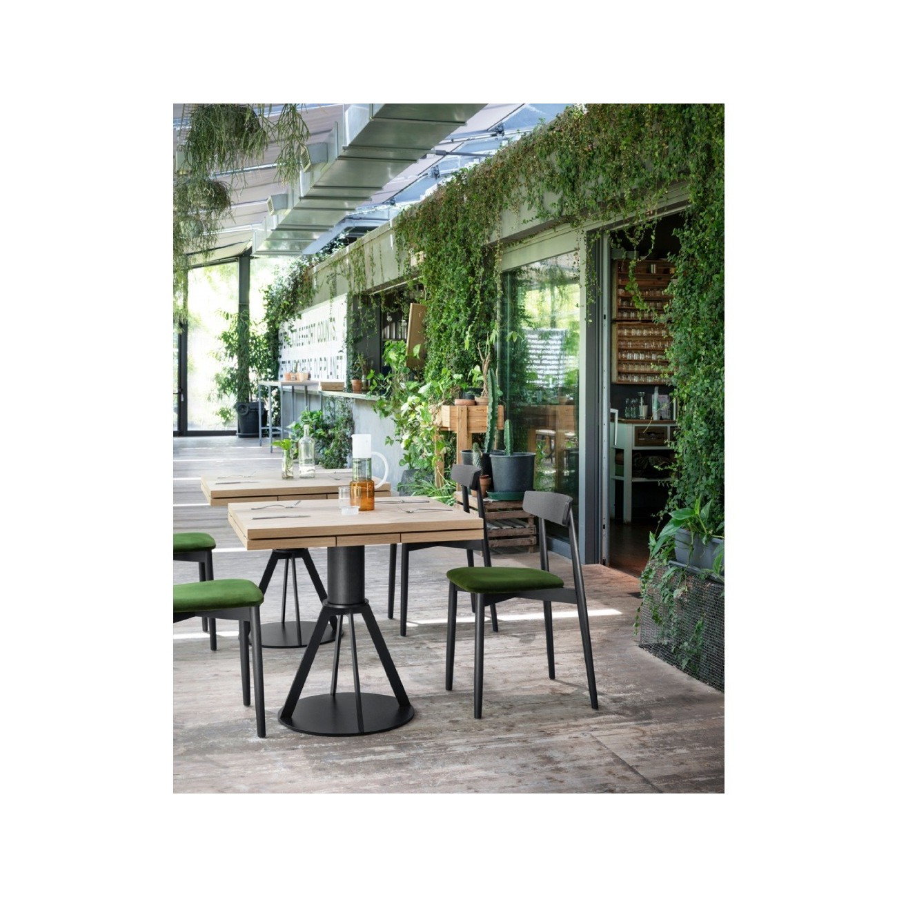 MINIFORMS – GERONIMO TAVOLO