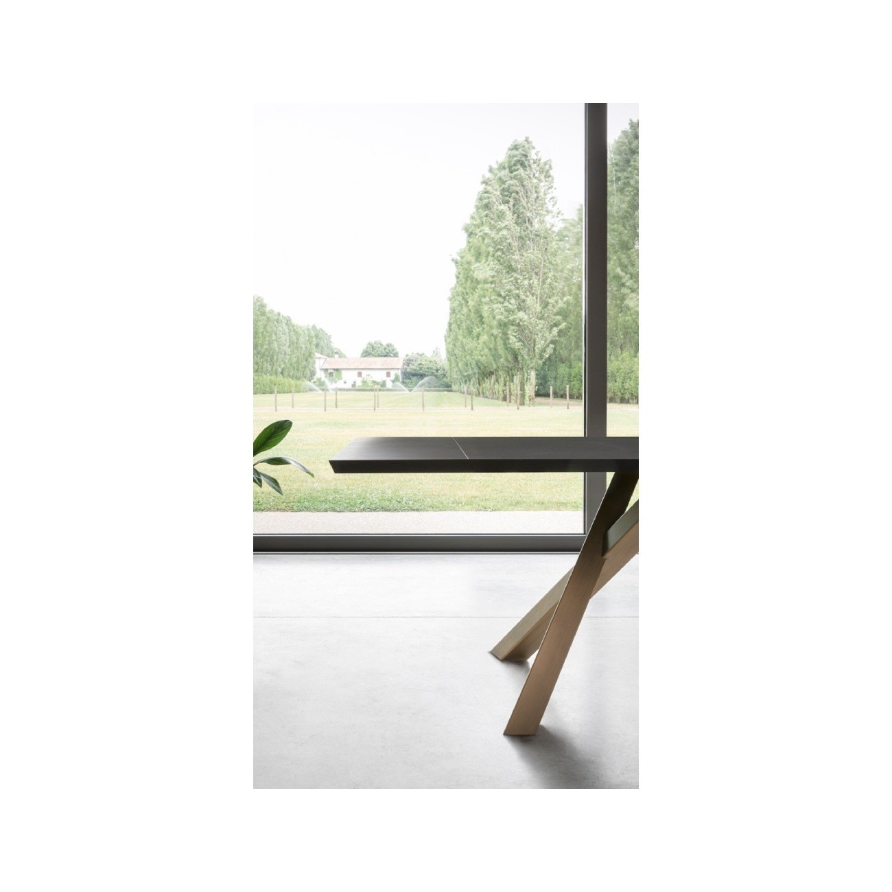 MINIFORMS - GUSTAVE TAVOLO