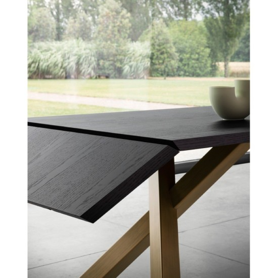 MINIFORMS - GUSTAVE TAVOLO