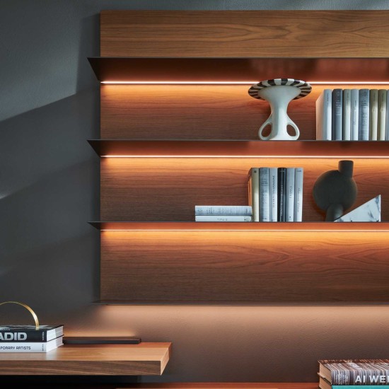 MOLTENI PASS-WORD EVOLUTION