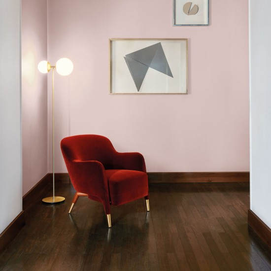 MOLTENI & C. D.151.4