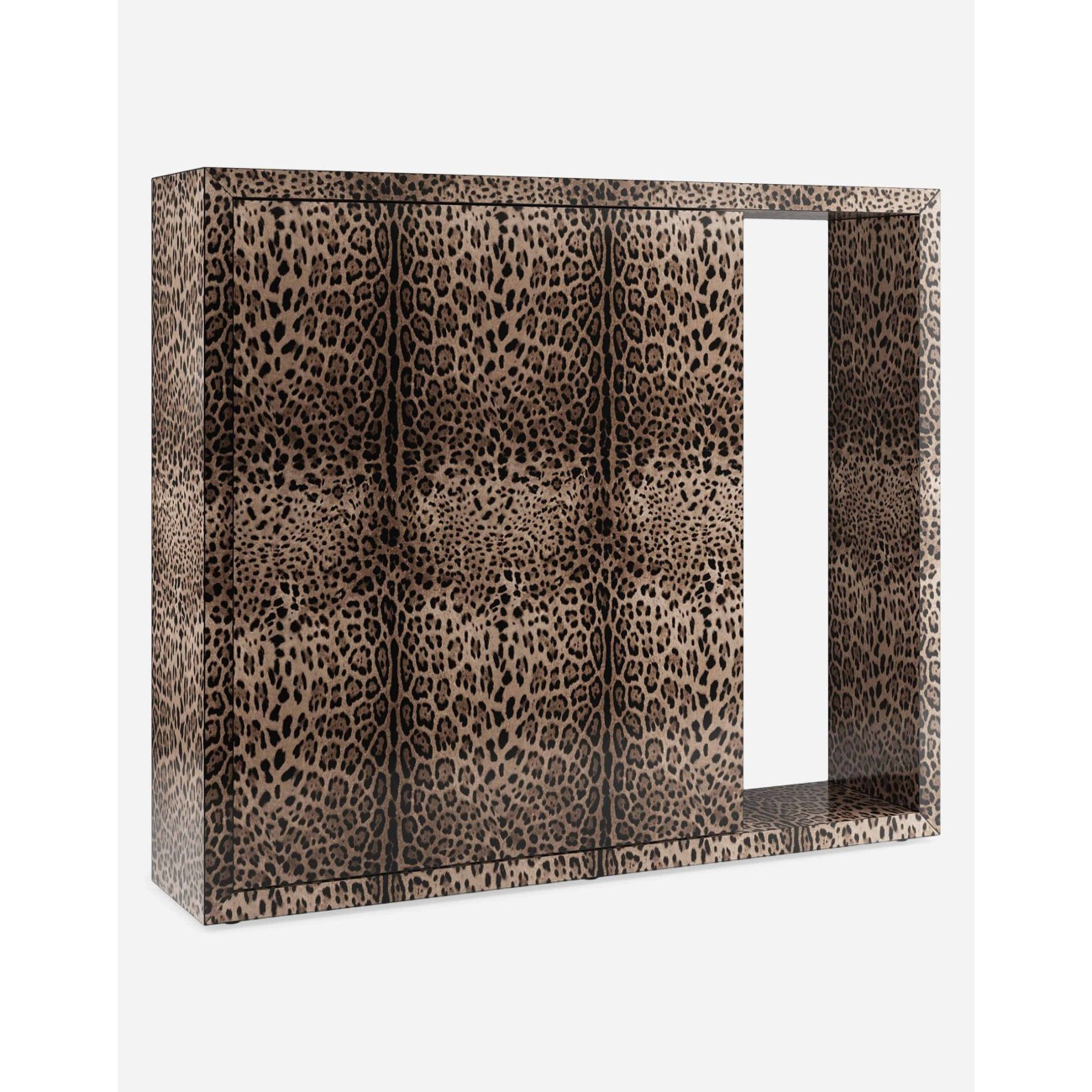 DOLCE&GABBANA - POLIFEMO BOOKCASA