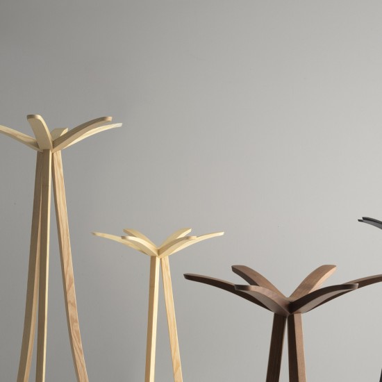 ALBEDO DAISY COATRACK