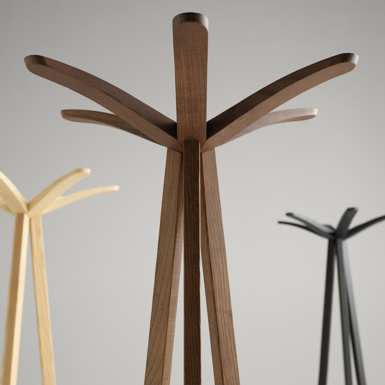 ALBEDO DAISY COATRACK