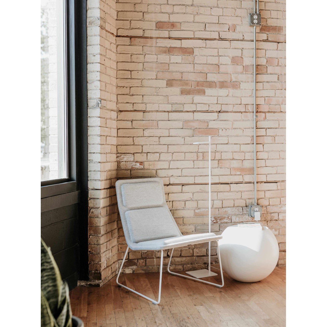 CAPPELLINI LOW PAD POLTRONA