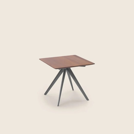 FLEXFORM ZEFIRO TABLE BASSE
